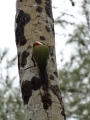 2013-10_CubaActive_A_ (160)